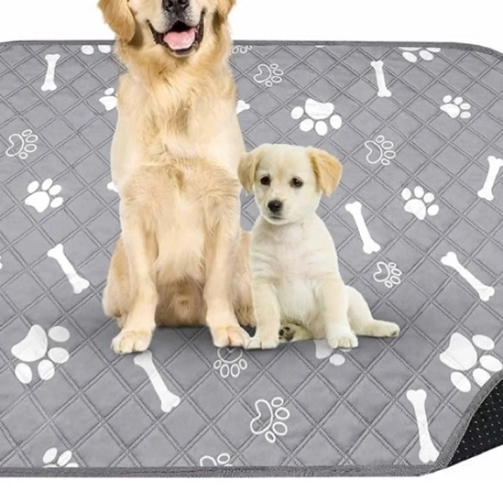 Dog Training Pad 🐶 - Picture 3 of 5
